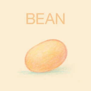 Bean by Lukrembo